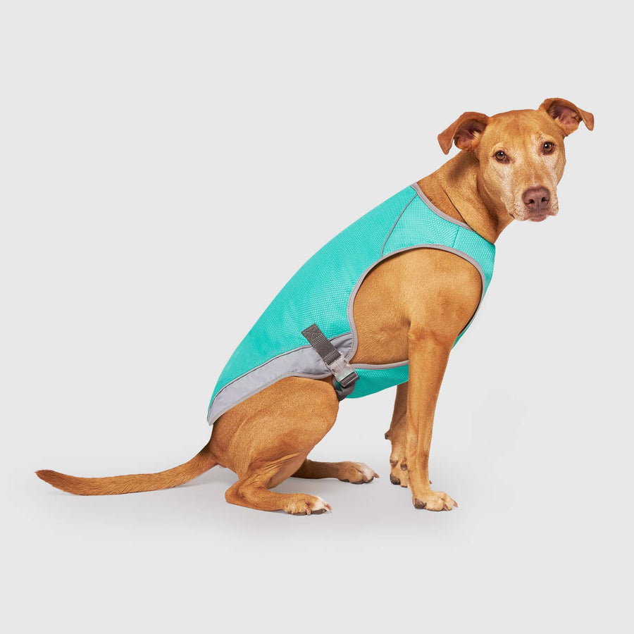 Chill Seeker Cooling Vest Wet Reveal AQAB