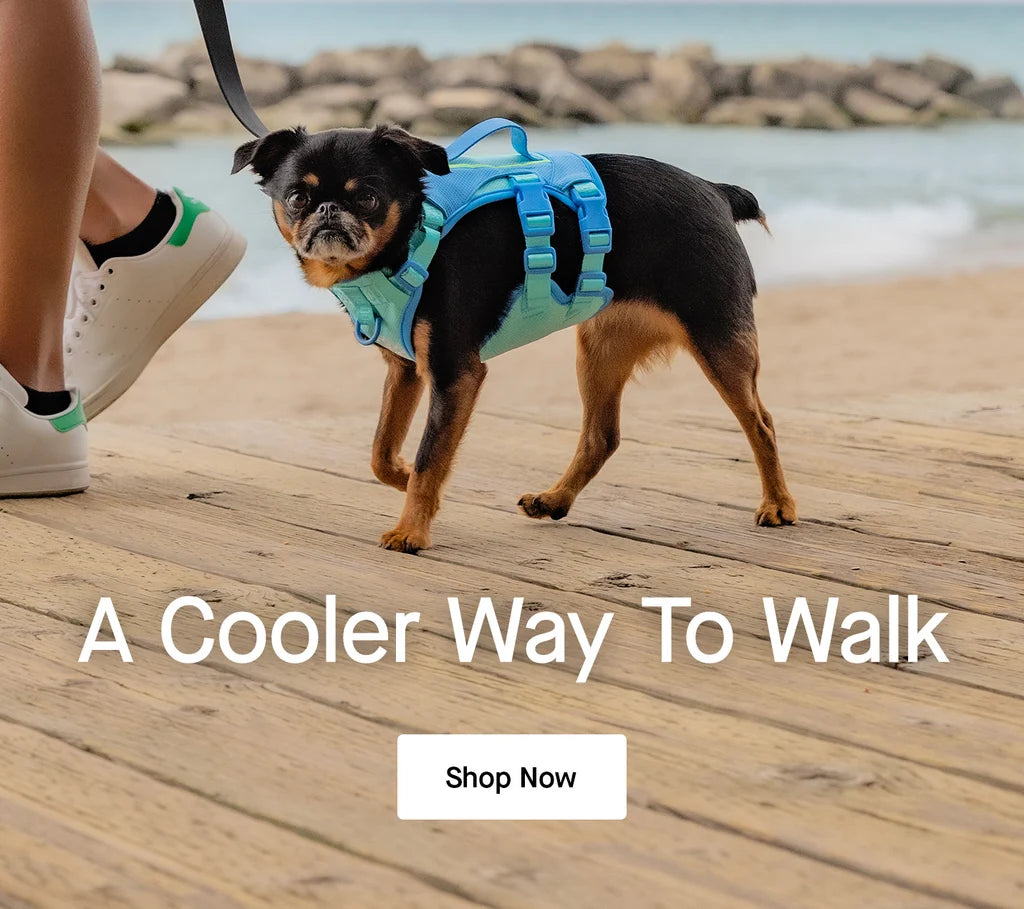 A cooler way to walk