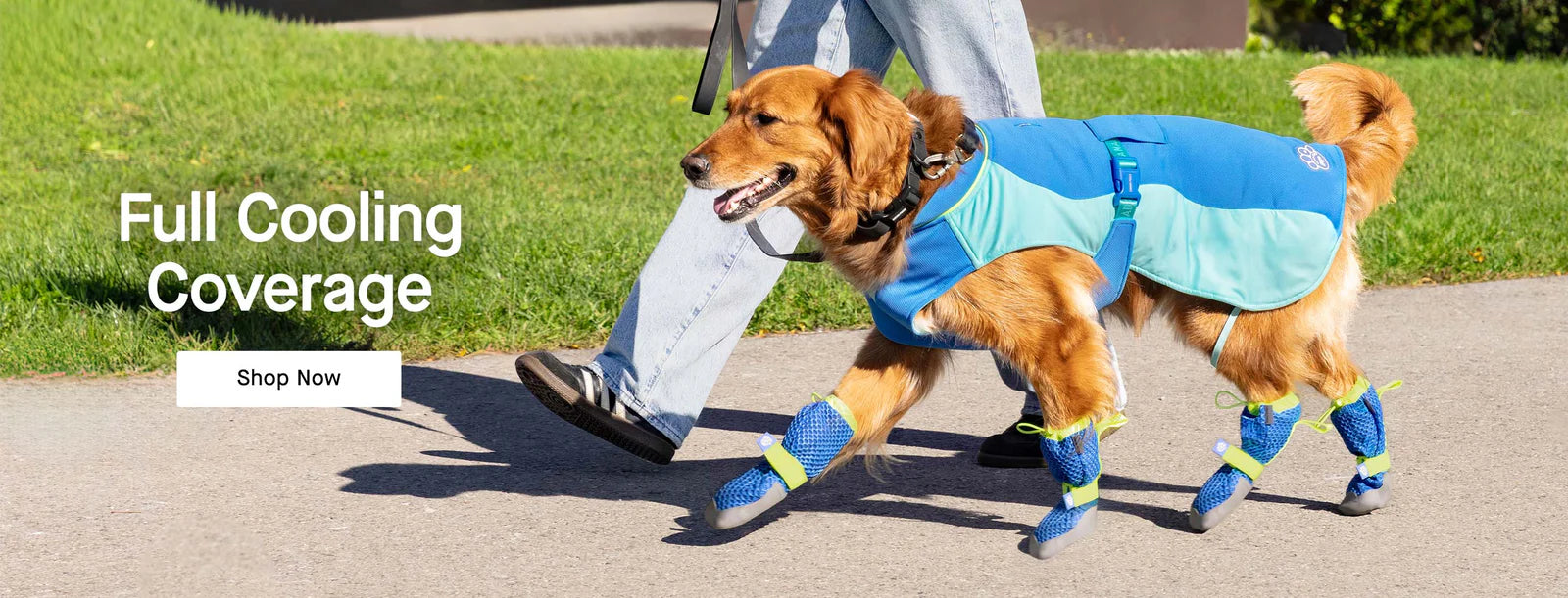 Canada Pooch homepage hero 