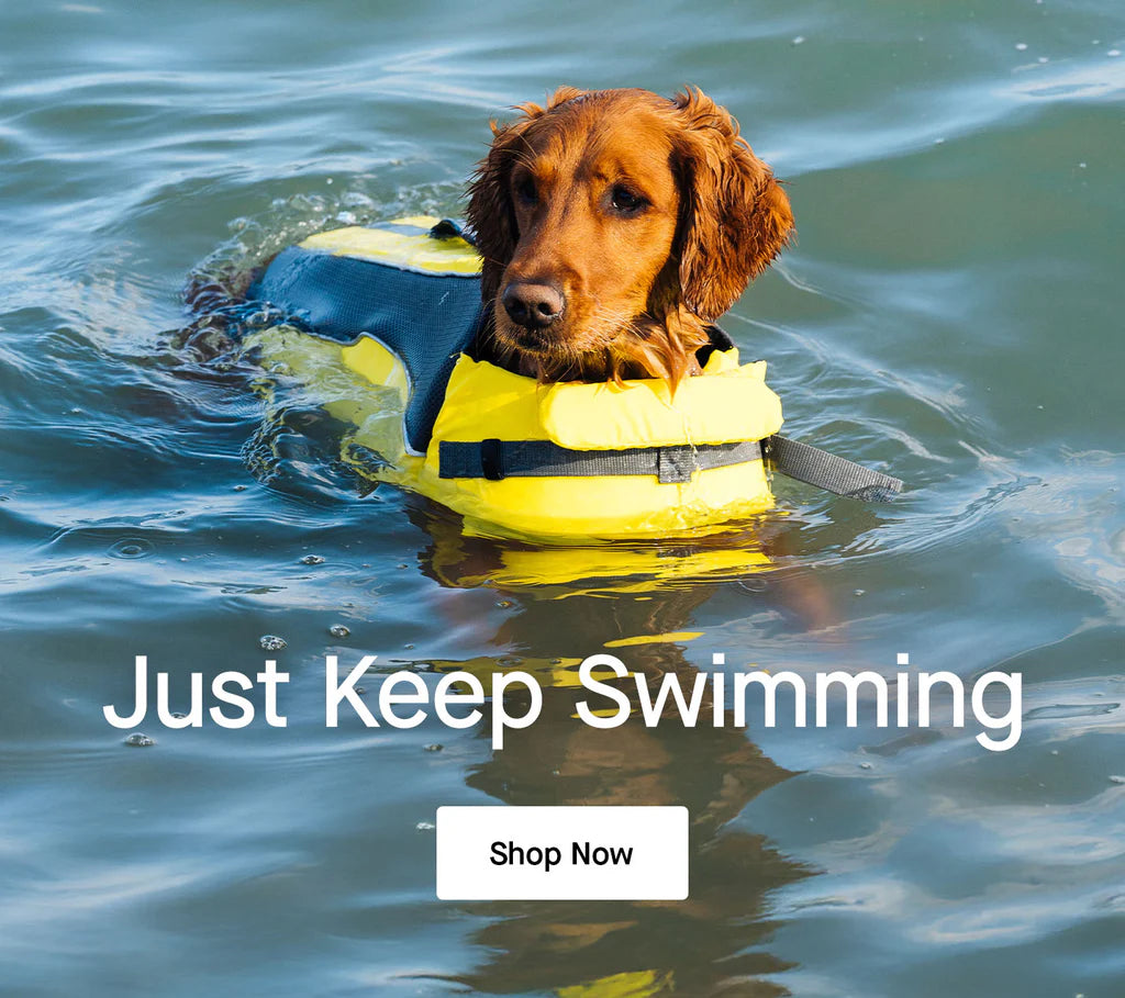 Just keep swimming