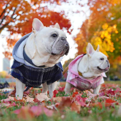 Shop Cool Temps