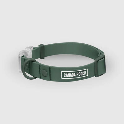 Collars & Leashes